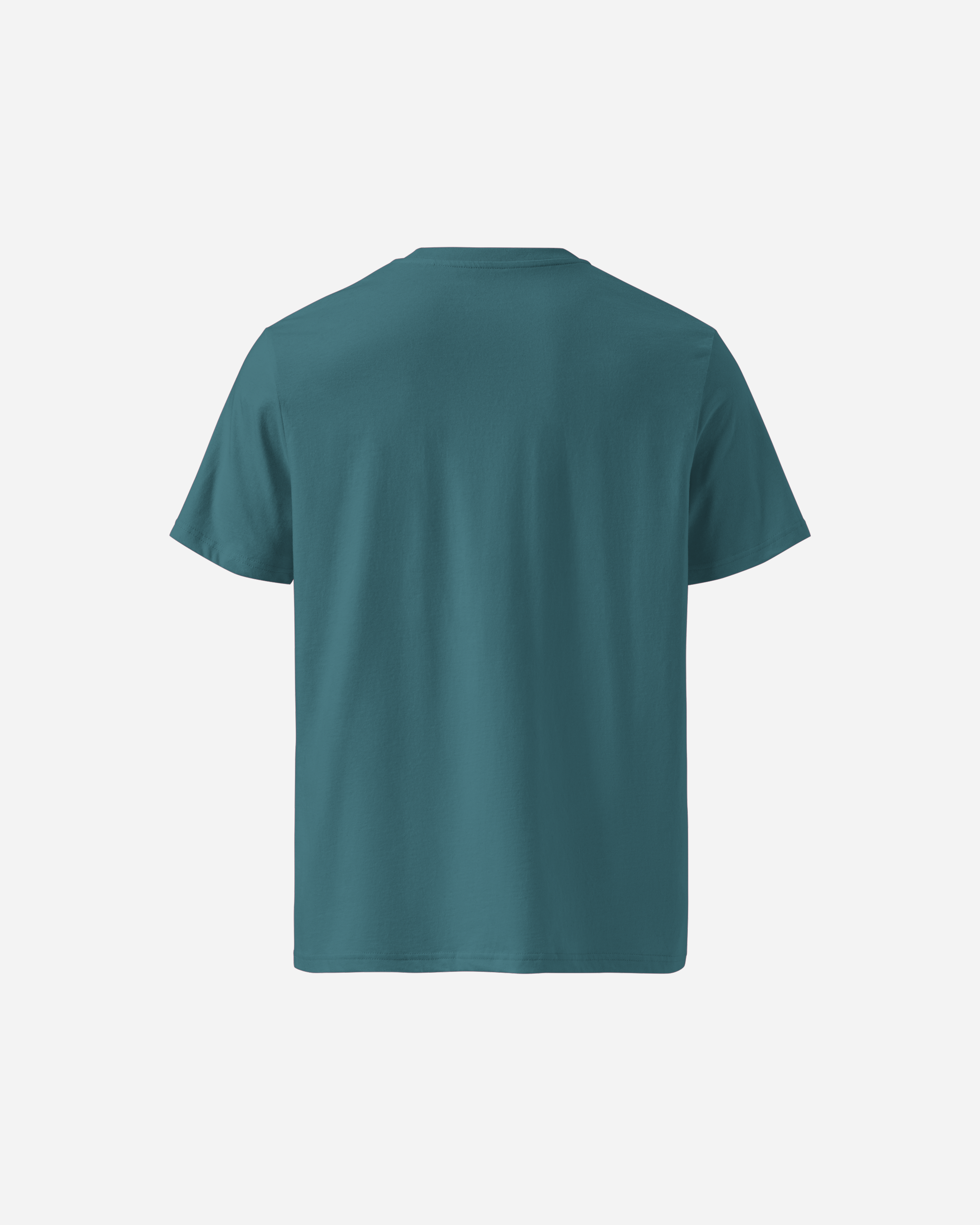 Beercoin Accepted Here T-Shirt – Unisex DTF Printed Crypto Beer Tee